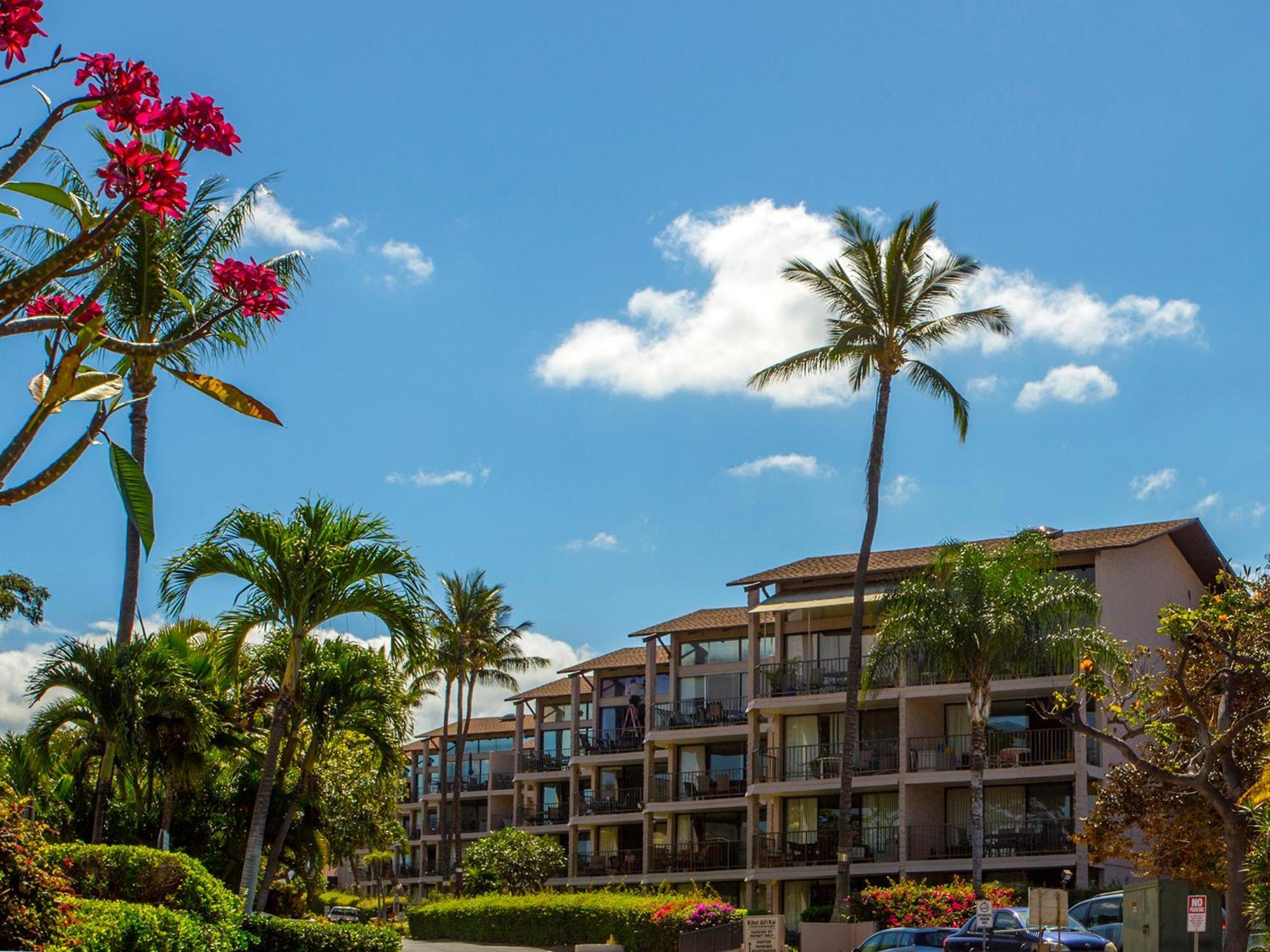Ocean View Unit At Kihei Alii Kai Close To Beach المظهر الخارجي الصورة